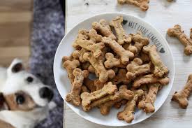 Food & Treats