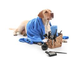 Grooming & Health