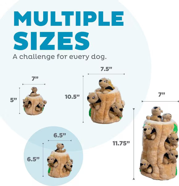 Outward Hound Hide A Squirrel Squeaky Puzzle Plush Dog Toy