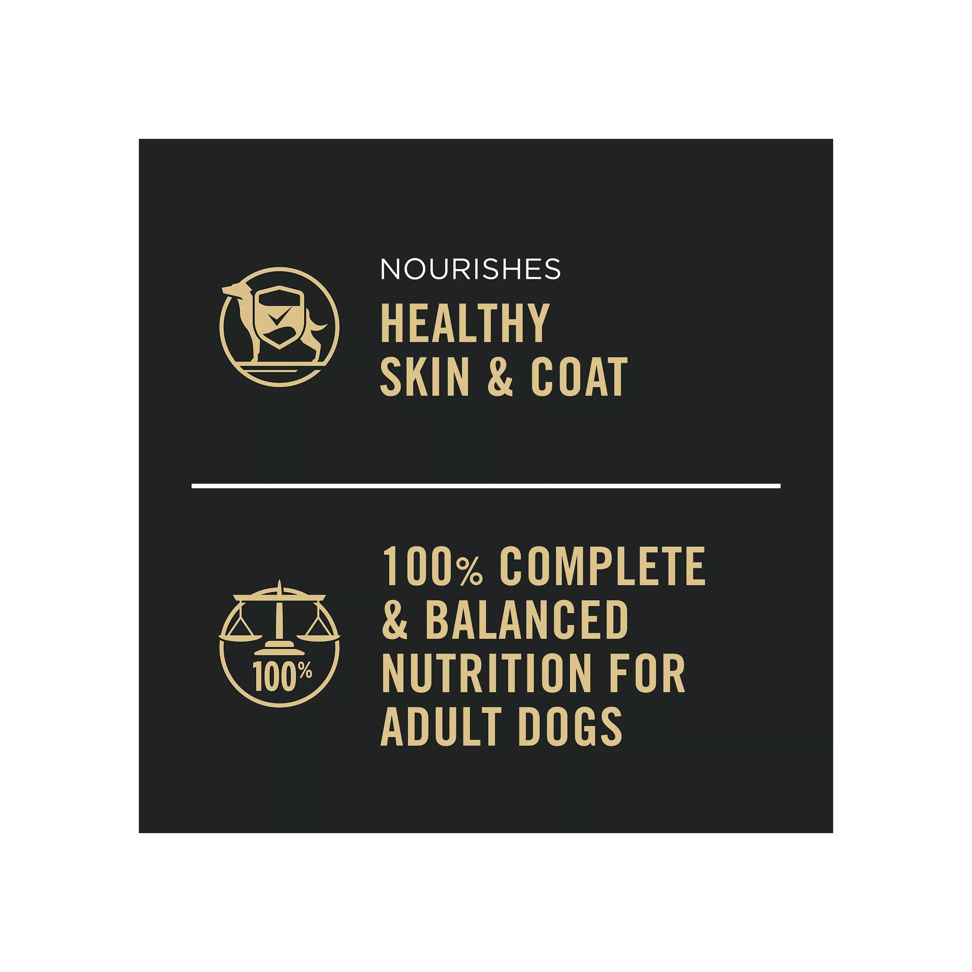 Purina® Pro Plan Complete Essentials Adult Wet Dog Food