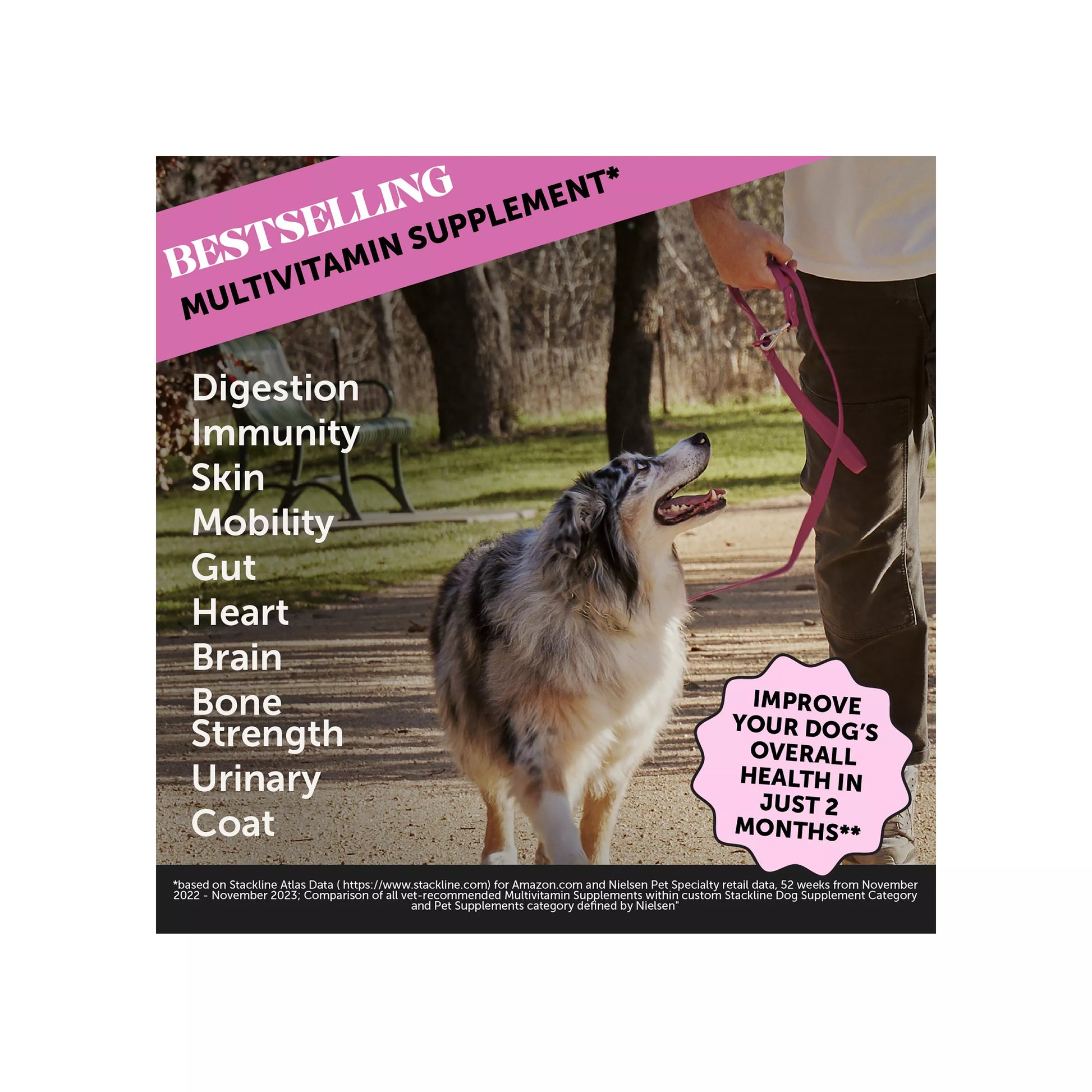 Pet Honesty 10-in-1 Multivitamin - Soft Chews