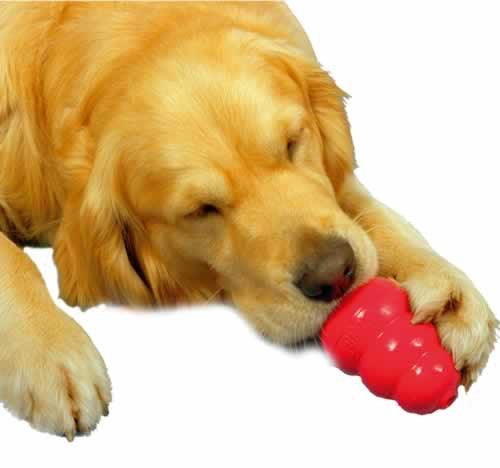 KONG Classic Dog Toy
