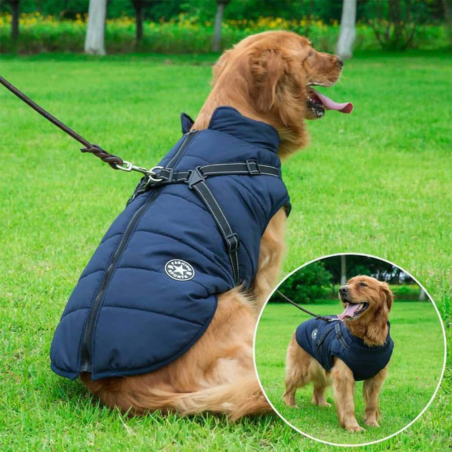 DogSki Sports Jackets