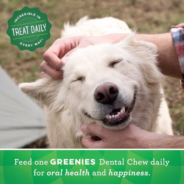 Greenies Regular Original Chicken Flavor Dental Dog Treats