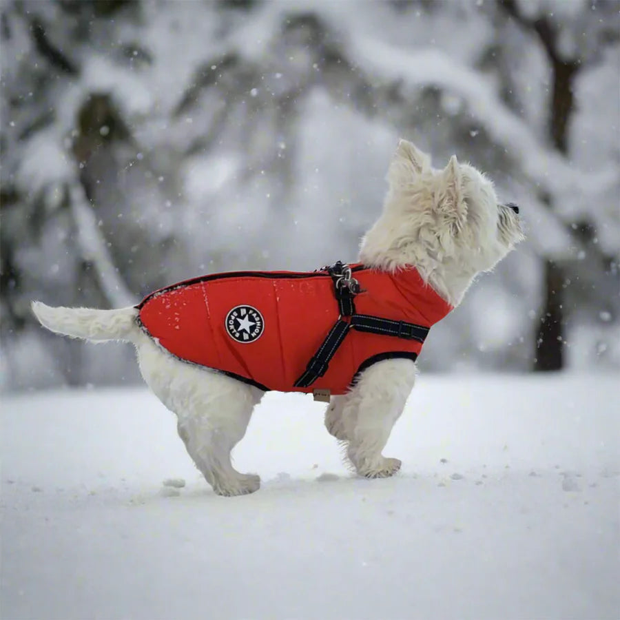 DogSki Sports Jackets